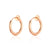 1 Pair Casual Punk Simple Style Circle Lines Polishing Plating Stainless Steel Gold Plated Hoop Earrings