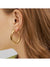 1 Pair Elegant Oval Plating Stainless Steel 18k Gold Plated Earrings