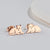 1 Pair Fashion Fox Lion Titanium Steel Plating Hollow Out Ear Studs