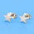 1 Pair Fashion Star Moon Stainless Steel Plating Ear Studs