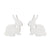 1 Pair Japanese Style Rabbit Animal Titanium Steel Plating Ear Studs