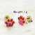 1 Pair Simple Style Geometric Inlay Stainless Steel Rhinestones Gold Plated Ear Studs