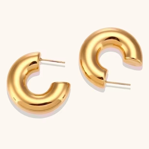 1 Pair Simple Style Solid Color Plating Stainless Steel 18k Gold Plated Earrings