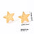 1 Pair Simple Style Star Polishing Plating Titanium Steel Gold Plated Silver Plated Ear Studs