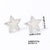 1 Pair Minimalist Star Polishing Plating Titanium Steel Gold Plated Silver Plated Ear Studs