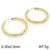 1 Pair Streetwear Solid Color Stainless Steel Hoop Earrings