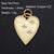 1 Piece 14*17mm Copper Zircon 18K Gold Plated Star Heart Shape Pendant