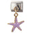 1 Piece 22*14mm 304 Stainless Steel Starfish Conch Shell Pendant