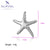 1 Piece 24*20mm 304 Stainless Steel Starfish Pendant