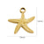 1 Piece 304 Stainless Steel 14K Gold Plated Starfish