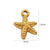 1 Piece 304 Stainless Steel Natural Stone 14K Gold Plated Starfish Heart Shape Key Pendant