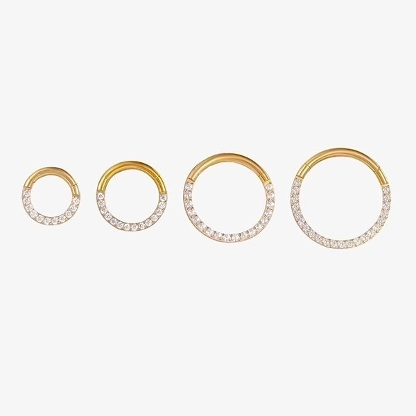 1 Piece Fashion Round Titanium Inlay Zircon Nose Ring