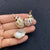 1 Piece Shell Conch