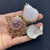 1 Piece Shell Conch