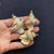 1 Piece Shell Conch