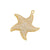 1 Piece Minimalist Starfish Copper Plating Inlay Jewelry Accessories