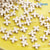 10 PCS/Package Howlite Water Droplets Starfish Skull Beads