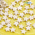 10 PCS/Package Howlite Water Droplets Starfish Skull Beads