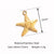 3 PCS/Package 11*16MM 20 * 23mm 304 Stainless Steel Starfish Hippocampus Shell Pendant