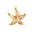 5 PCS/Package 304 Stainless Steel Tortoise Starfish Pendant