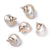 5 PCS/Package Shell Conch Shell Pendant