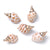 5 PCS/Package Shell Conch Shell Pendant