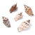 5 PCS/Package Shell Conch Shell Pendant