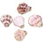 5 PCS/Package Shell Conch Shell Pendant