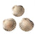 5 PCS/Package Shell Conch Shell Pendant