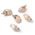 5 PCS/Package Shell Conch Shell Pendant