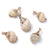 5 PCS/Package Shell Conch Shell Pendant