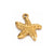 A Pack Of 6 Casual Beach Starfish Conch Stainless Steel Plating Jewelry Accessories