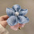 Advanced Sense Flower Hair Band Mori-style Fairy Hair Rope Women's Big Bowel Band Hair Rubber Band Telephone Line Hair Rope Hairpin