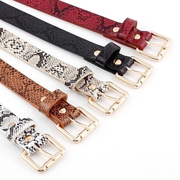 Basic Snakeskin Imitation Leather Alloy Women's Leather Belts