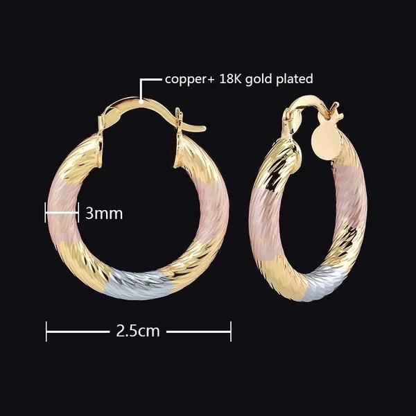 Brass Plating Color Block Earrings