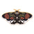 Cartoon Style Pin Butterfly Alloy Plating Women'S Brooches