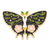 Cartoon Style Pin Butterfly Alloy Plating Women'S Brooches