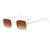 Casual Modern Style Leopard Ac Square Full Frame Women's Sunglasses