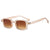 Casual Modern Style Leopard Ac Square Full Frame Women's Sunglasses