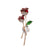 Casual Simple Style Cat Flower Strawberry Alloy Inlay Rhinestones Unisex Brooches