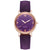 Casual Solid Color Buckle Quartz Women's Watches