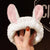 Cat Ears Hair Band Hair Band Korean Plush Internet Celebrity Rabbit Ear Hair Accessories Bow  Face Wash Hair Band