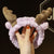 Cat Ears Hair Band Hair Band Korean Plush Internet Celebrity Rabbit Ear Hair Accessories Bow  Face Wash Hair Band