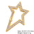 Classic Style Star Heart Shape Copper Plating Inlay Zircon 18k Gold Plated White Gold Plated Jewelry Accessories