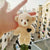 Cute Bear Pp Cotton Women's Bag Pendant Keychain 1 Piece