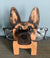 Cute Creative Wooden Decoration Animal Glasses Display Stand