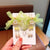 Cute Flower Plastic Cloth Resin Tassel Hair Clip