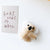 Cute Kaola Hairpin Plush Koala Bear Side Clip Autumn And Winter Three-dimensional Bangs Clip Star  Top Clip Hair Accessories