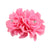 Double Rose Hairpin Ethnic Headwear Bride Flower Head Flower Girls' Dance Performance Rhinestone Hair Accessories Edge Clip