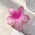 Egg Flower Grab Clip Advanced Gradient Flower Large Grab Clip Hair Accessories Super Fairy Head Disc Hair Headwear Shark Clip